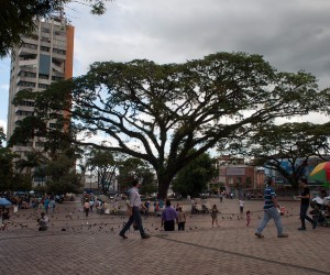 Los Libertadores Square. Source: flickr.com By: Arttesano
